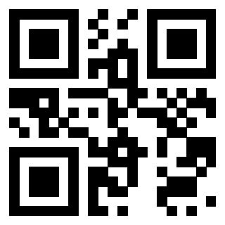 Il Qr Code di 3919160932