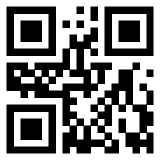 Il Qr Code di 3919160951