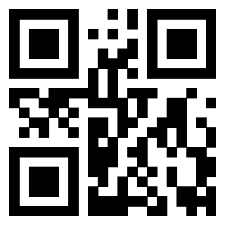 Il Qr Code di 3919160956
