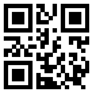 Il Qr Code di 3919160969