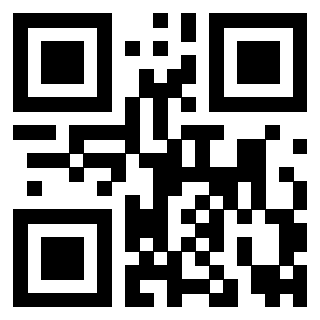Il Qr Code di 3919160971