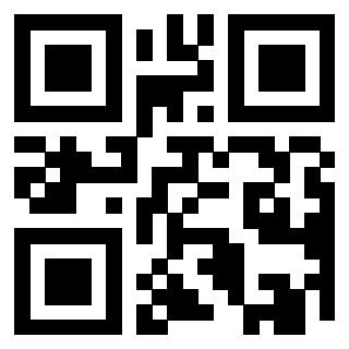 Il Qr Code di 3919160983