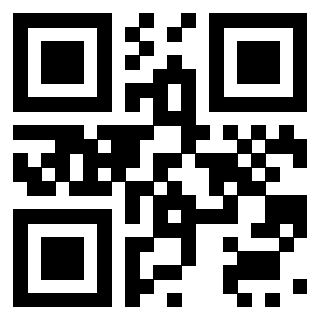 Il Qr Code di 3919160986