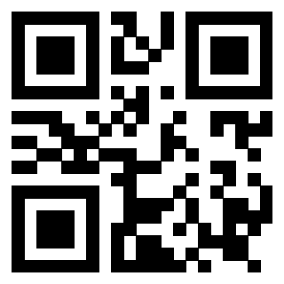 3919160991 QrCode associato