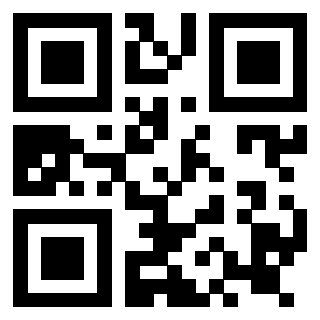 Il Qr Code di 3919160994