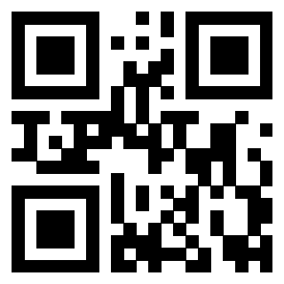 Il QrCode di 3919160999