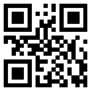 Il Qr Code di 3919161005