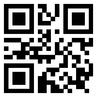 Il Qr Code di 3919161014
