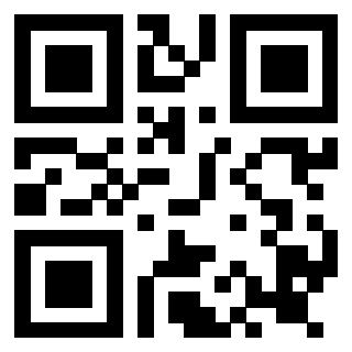 QrCode di 3919161022