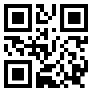 Il Qr Code di 3919161031