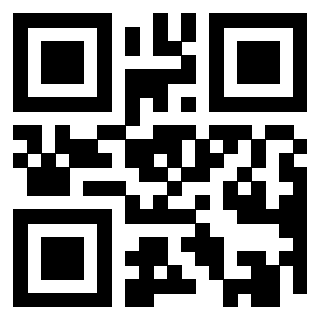 Il Qr Code di 3919161058