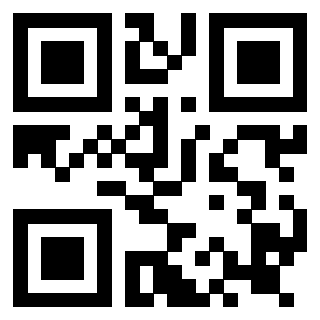 QrCode di 3919161062