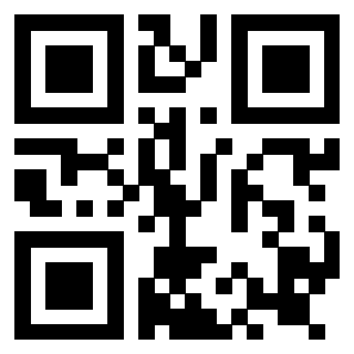 QrCode di 3919161072