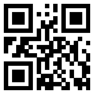 Il Qr Code di 3919161086