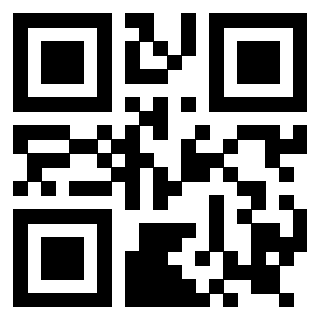 QrCode di 3919161087