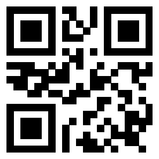 Il QrCode di 3919161088