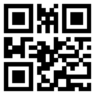 Il Qr Code di 3919161089