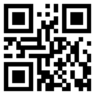 Scansione del Qr Code di 3919161092