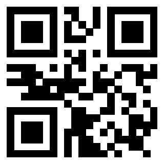 Il Qr Code di 3919161094