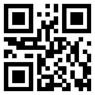 QrCode di 3919161095