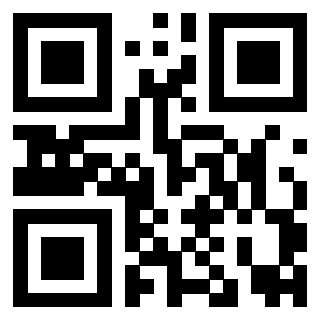 Il Qr Code di 3919161112