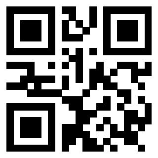 QrCode di 3919161114