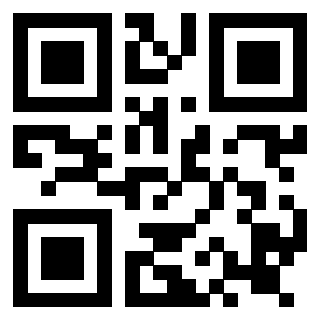 Il Qr Code di 3919161140
