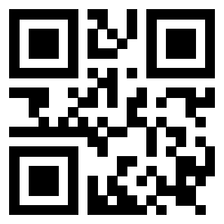 Il Qr Code di 3919161146