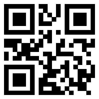 Il Qr Code di 3919161175