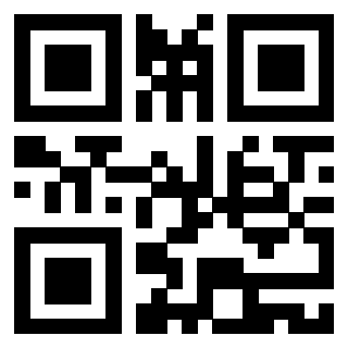 Il Qr Code di 3919161178
