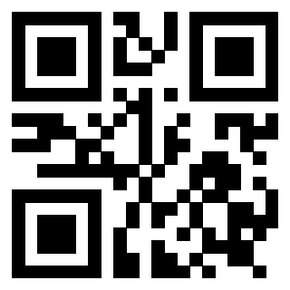 Il Qr Code di 3919181961