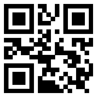 Il Qr Code di 3919181972