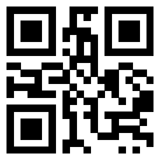 Il Qr Code di 3919181980