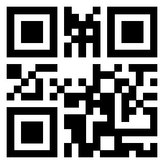 QrCode di 3919182007