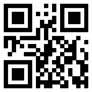 Il Qr Code di 3919182027