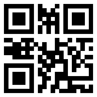 Il Qr Code di 3919182035