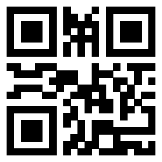Il Qr Code di 3919182036
