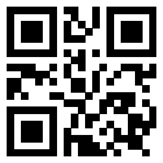 Il Qr Code di 3919182038
