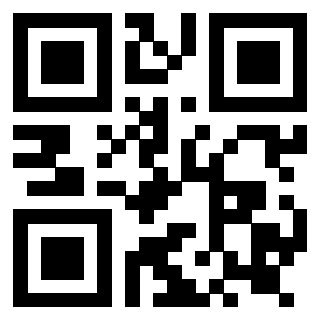 Il Qr Code di 3919182057