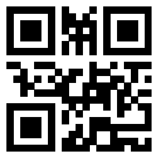 Il Qr Code di 3919182064