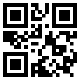 Il Qr Code di 3919182106
