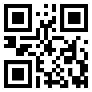 Il Qr Code di 3919182194