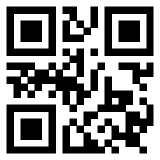 Il Qr Code di 3919182304