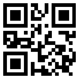 3919182400 Qr Code associato