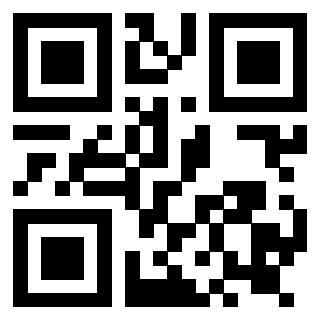 Il Qr Code di 3919182469