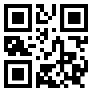 Il Qr Code di 3919182565