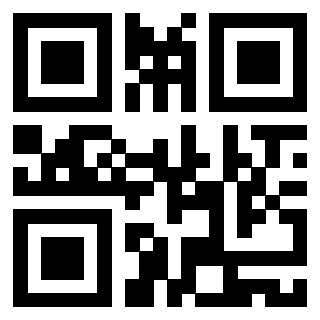 Il Qr Code di 3919182575