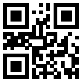 Il Qr Code di 3919182582