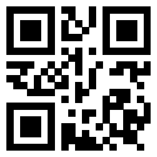 Il Qr Code di 3919182647