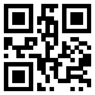 Il Qr Code di 3919182663